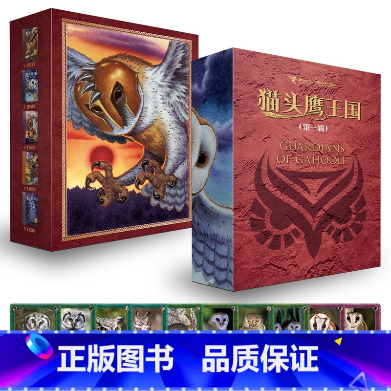 猫头鹰王国 第一辑1-5册 【正版】接力出版社猫头鹰王国系列 套装全15册中文版经典动物奇幻小说儿童幻想自然文学冒险励志