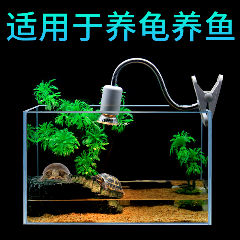 超白鱼缸玻璃客厅桌面生态小型斗鱼金鱼乌龟长方形懒人养鱼小鱼缸高清大图
