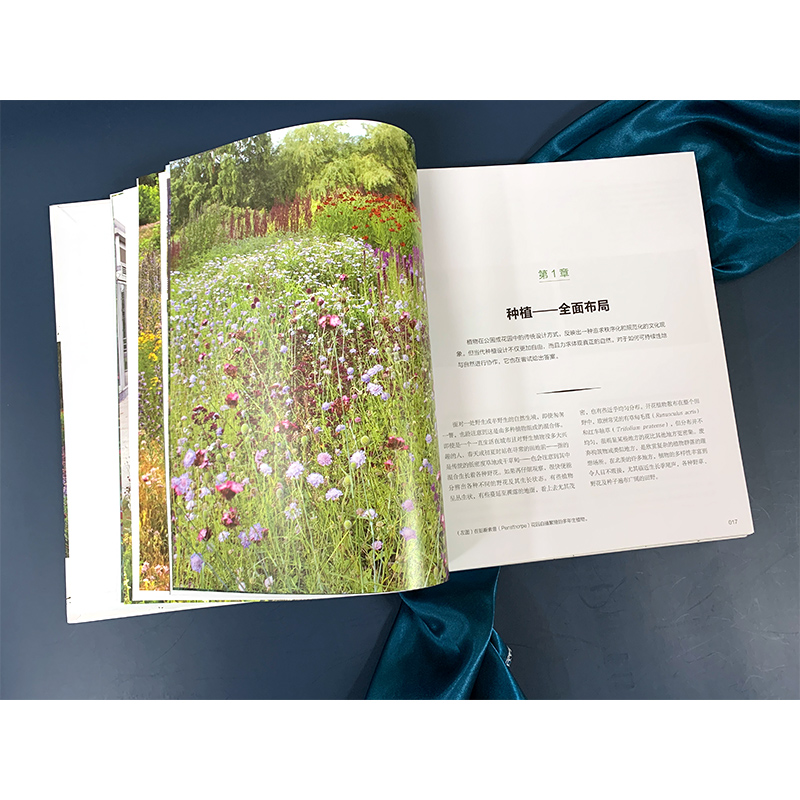 [正版] 荒野之美 自然主义种植设计 皮特奥多夫 荒草园林大师 自然主义种植设计 大型景观设计家庭庭院植物栽培技术园林高清大图