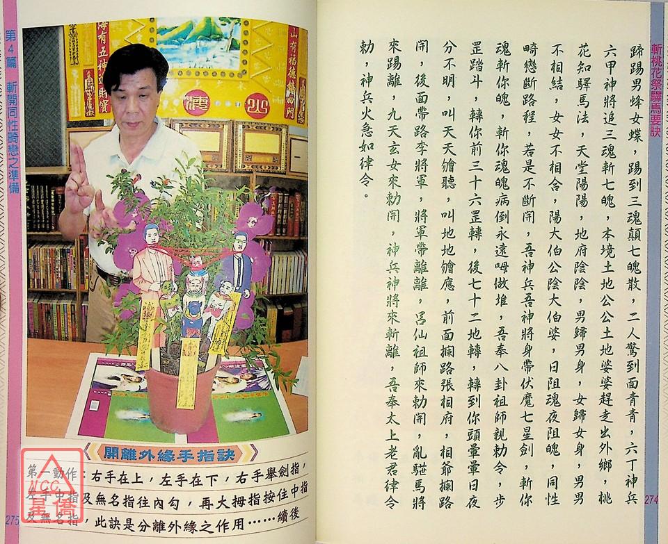 正版 斩桃花祭驿马要诀 林吉成 进源 成 进源高清大图