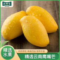 【苏鲜生】云南鹰嘴芒 净重5斤装 大果 单果150-200g 热带水果 新鲜水果 香甜爽口