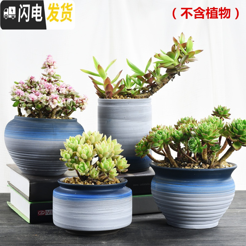 三维工匠粗陶透气紫砂多肉老桩陶瓷大号大口径创意肉肉植物小花盆 紫云-艺韵复古紫砂4个 大花盆容器