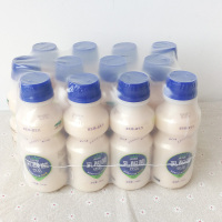 荷润 乳酸菌饮品 340ml 12瓶装 早餐奶原味饮料 聚会酒席饮品
