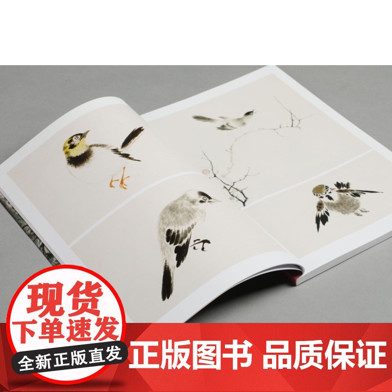 江寒汀花鸟技法图解 大师课堂中国画绘画技巧苏小松苏编著上海书画出版社高清大图