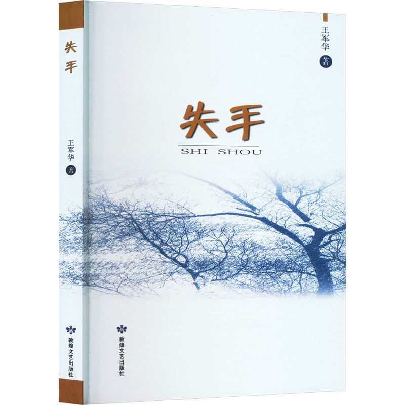 正版新书]失手王军华 著9787546817071高清大图