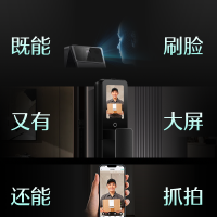 德施曼智能门锁人脸猫眼大屏密码锁指纹锁大圣Q5FPro(新性能版)