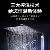 奥克斯(AUX)燃气热水器JSQ30-DAL65即热式家用零冷水16升天然气智能变频恒温强排式速热低压启动