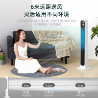 美的(Midea)电风扇家用无叶风扇轻音低噪定时遥控摇头落地扇 全国联保ZAD09MA