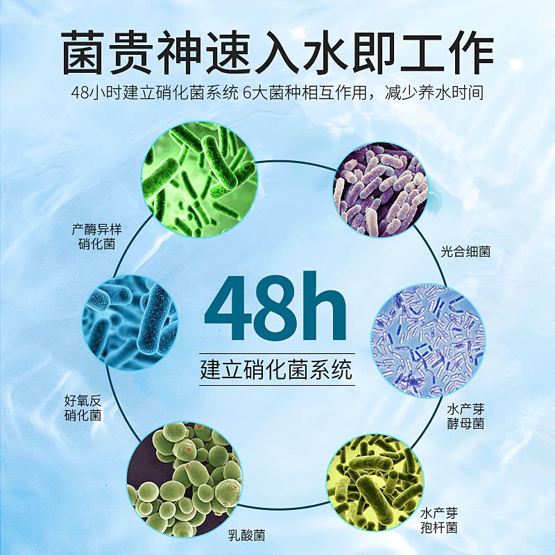 硝化细菌鱼缸净水剂硝化菌硝化水族水质净化清澈养鱼用品图片