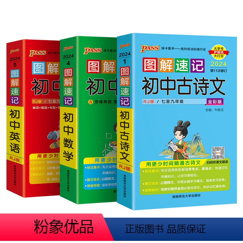 语数英3本 初中通用 [正版]2024图解速记初中英语基础知识手册RJ人教版单词词汇语法短语句型范文知识点大全七八九年级