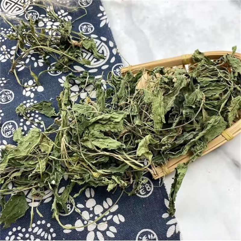 紫花地丁250克 袋装新货犁头草地丁草地丁地丁 泡茶泡水高清大图