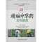 醉染图书精编草彩色图谱9787506779944