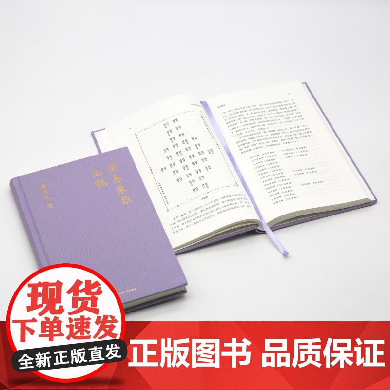 周易象数丛稿 潘雨廷著作集 张文江整理易道履错周易象数与道教易与几何学三书合一上海文艺出版社艺文志中国古典传统文化重要成高清大图