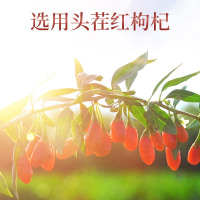青源堂牌枸杞宁夏枸杞正宗特优级大果可搭红枣枸杞桂圆养生茶泡水200克