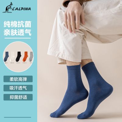【lalplna】男士长绒棉中筒袜 均码 混色*3