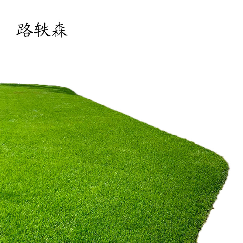 路轶森 马尼拉草皮 100*100cm 平方米高清大图