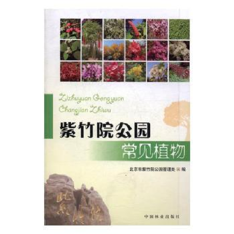 诺森紫竹院公园常见植物范卓敏9787503887765中国林业出版社高清大图