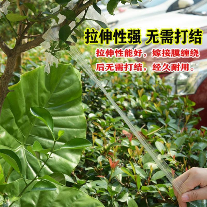 三卷嫁接膜 嫁接膜接树膜果树缠绕膜嫁接专用薄膜高品质自粘透明拉伸膜保温膜