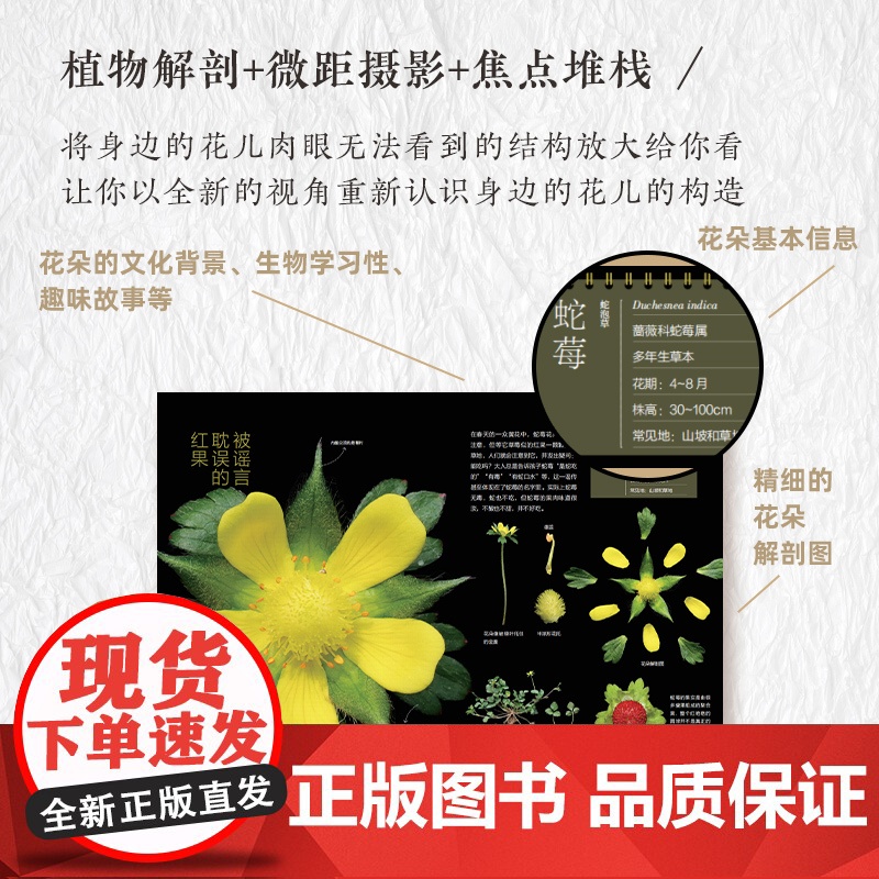 2册 如何观察身边的花 有趣的植物解剖图鉴 我的大自然观察笔记 植物观察笔记 植物科普绘本 6-12岁小学课外自然科普阅高清大图