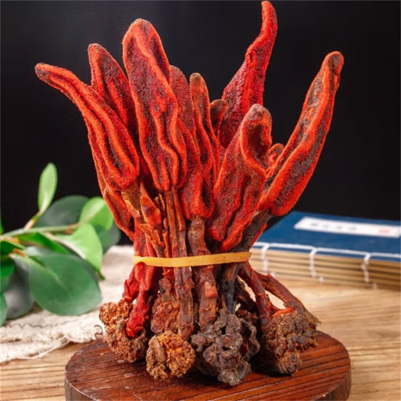 甄选回春草100克不老草干货袋装新货正品列当回春草草苁蓉干货泡酒高清大图