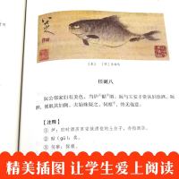 世说新语正版书 原版 初中生 人民教育出版社 刘义庆书籍九年级七年级上册必读人教版文言文 世语新说完整版译注原著注释