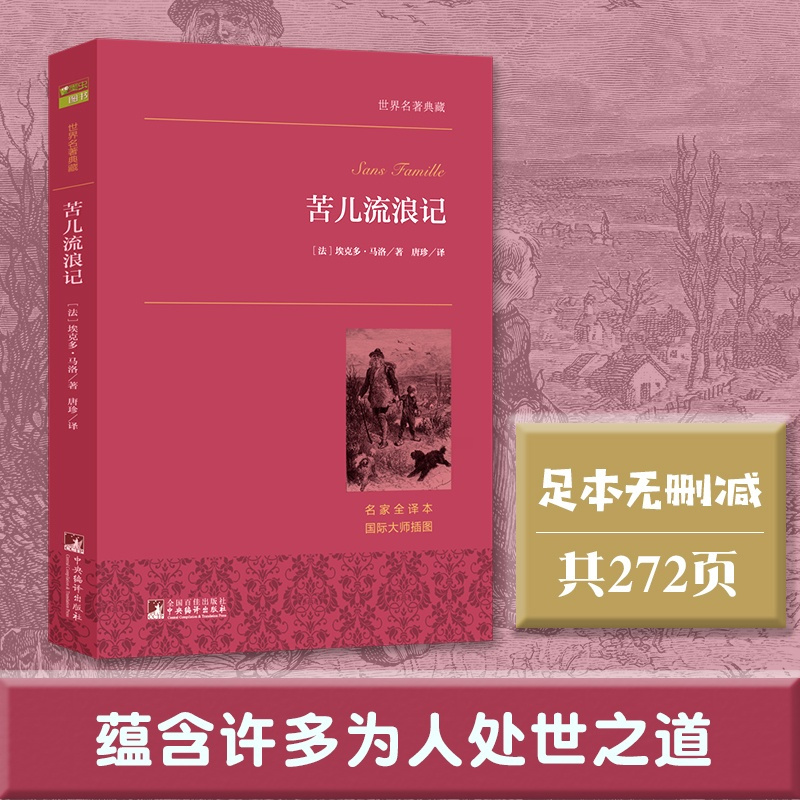 苦儿流浪记 [正版]苦儿流浪记 世界名著典藏