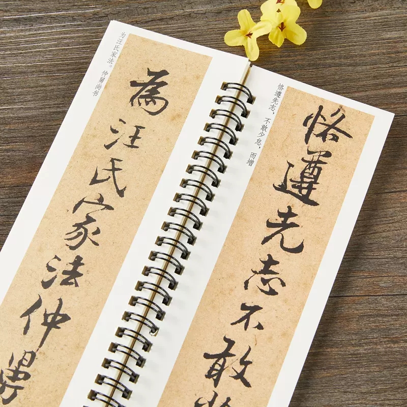 [正版]张即之汪氏报本庵记行楷行书毛笔书法字帖 南宋经典碑帖书法临摹字卡原大加放大版附简体旁注 近距离临摹字卡 黑龙江高清大图