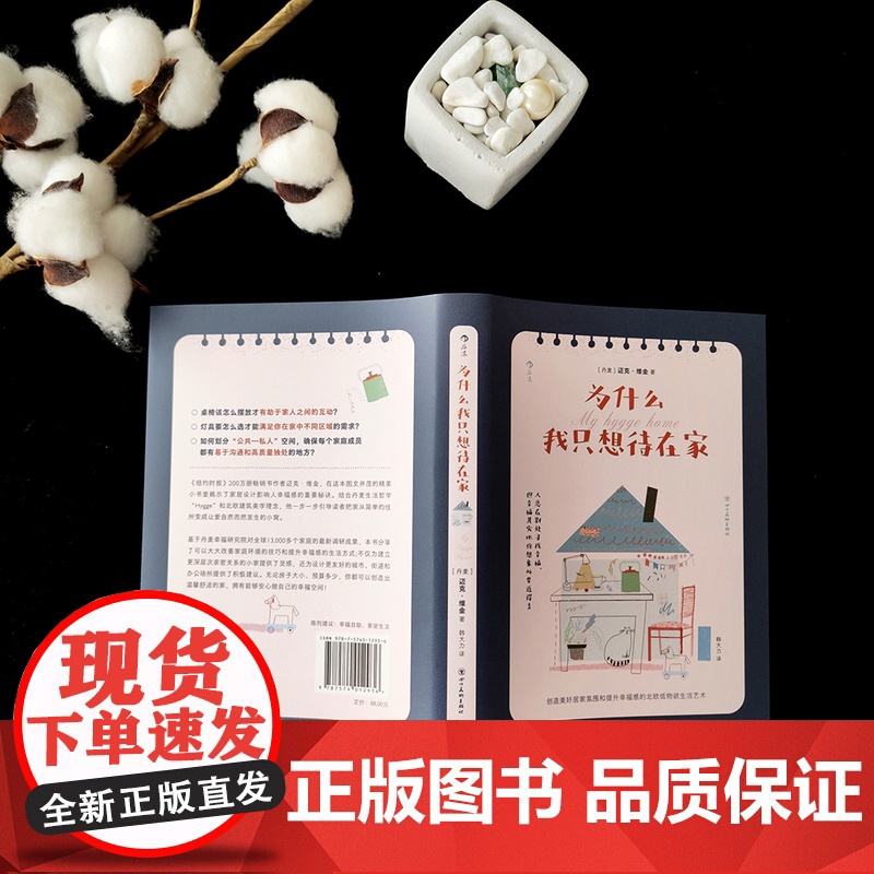 为什么我只想待在家 创造美好居家氛围的北欧生活艺术 一份高清大图