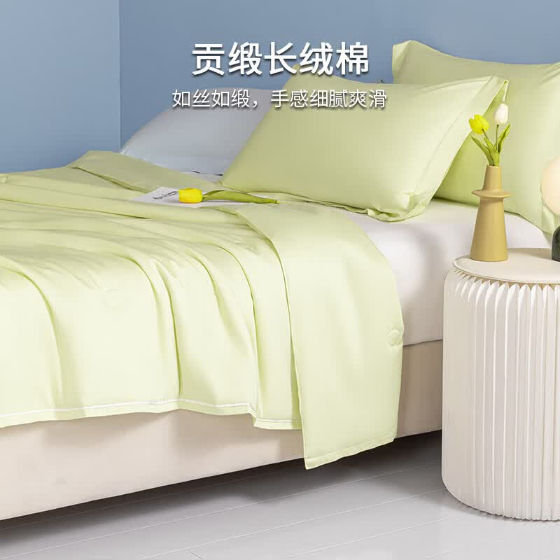 海澜之家 单人可机洗水洗夏被 轻奢绿 220*240cm/单夏被(单位:个)高清大图