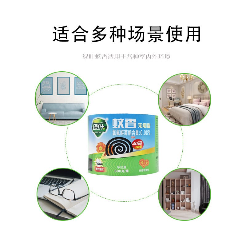 绿叶 蚊香 40盘/筒