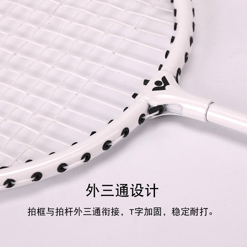顶力 5860 羽毛球拍(一副装)