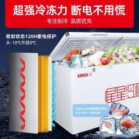星星(XINGX)BD/BC-618GD冰柜618升商用卧式大冷柜 冷藏冷冻转换商用保鲜设备 雪糕冰冻柜急冻速冻大冰柜