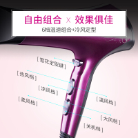 飞科(FLYCO)电吹风FH6273 2200W6档大功率均温变速健康柔风负离子功能冷热风发廊家用吹风筒