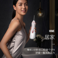 洁碧(Waterpik)冲牙器便携式水牙线洗牙器牙齿冲洗器家用冲牙器多喷头 正畸适用手持式小蛮腰 玫瑰金 GS9-14