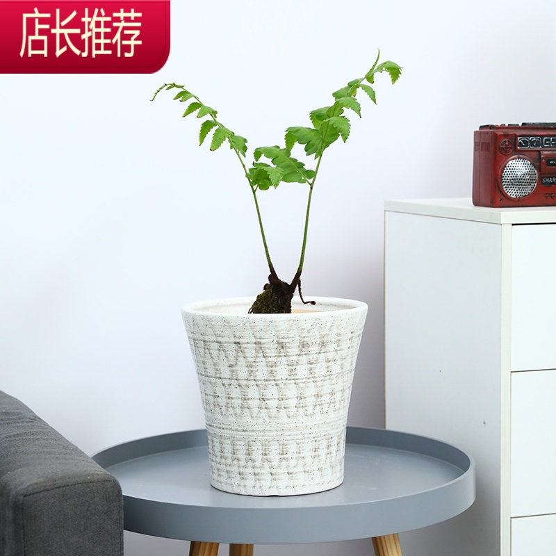 白色修身简约大口径龟背竹白掌绿萝大码绿植陶瓷花盆JING PING花盆容器