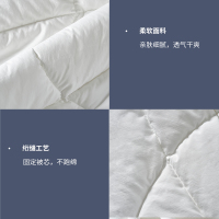 睡眠博士(AiSleep) 七孔纤维被 四季透气春秋空调被 保暖舒适薄被子