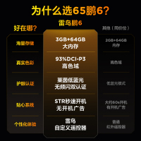 雷鸟鹏6 24款 65英寸电视 家电国家补贴 3+64GB电视机65S375C-JN