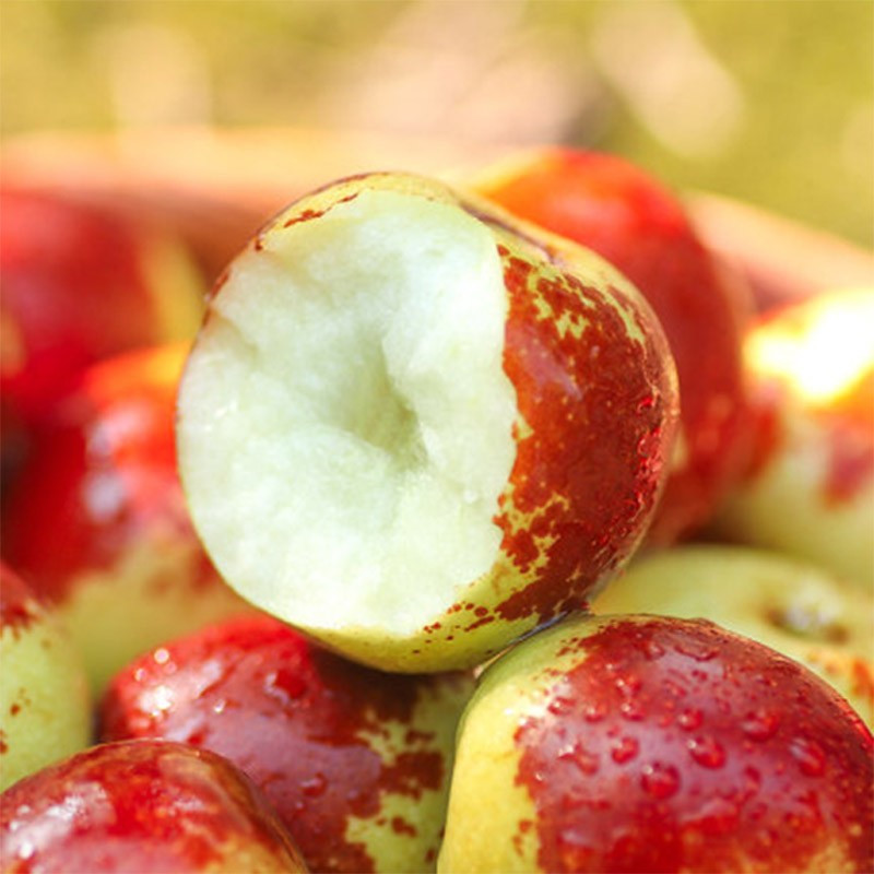 25kg陕西大荔冬枣新鲜水果枣子青枣渭南新上市