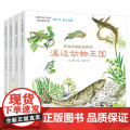 身边生动的自然课 水 高颖 著 科普