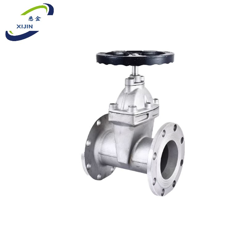 悉金 不锈钢法兰截止阀 XJ - DN65 个高清大图