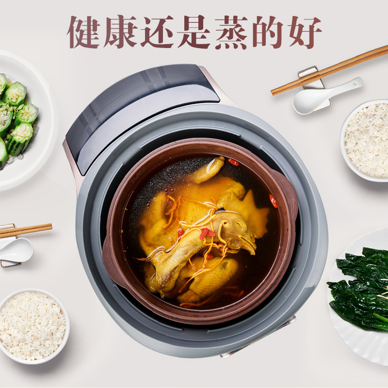 依立 (yili ) 4.5L电炖锅 紫砂锅 汤煲 炖汤锅 煮饭煲粥 蒸菜热菜 紫砂蒸汽煲21411S