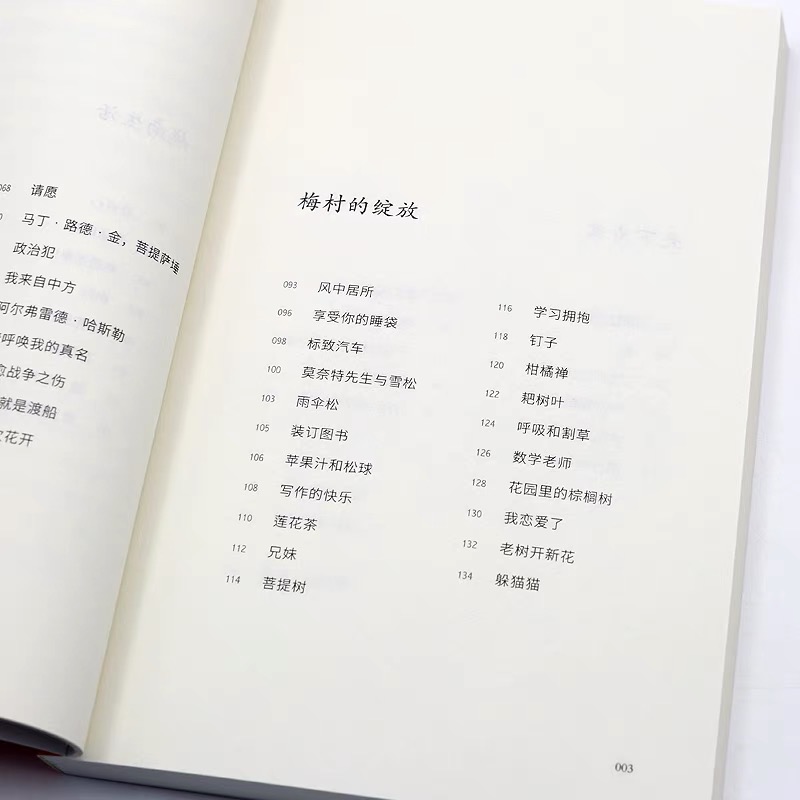 [正版]一行禅师 活在此时此刻 一行禅师修行手记 一本教你活出生命意义的灵性之书 讲述一行禅师真实的生活经历心灵励志书高清大图