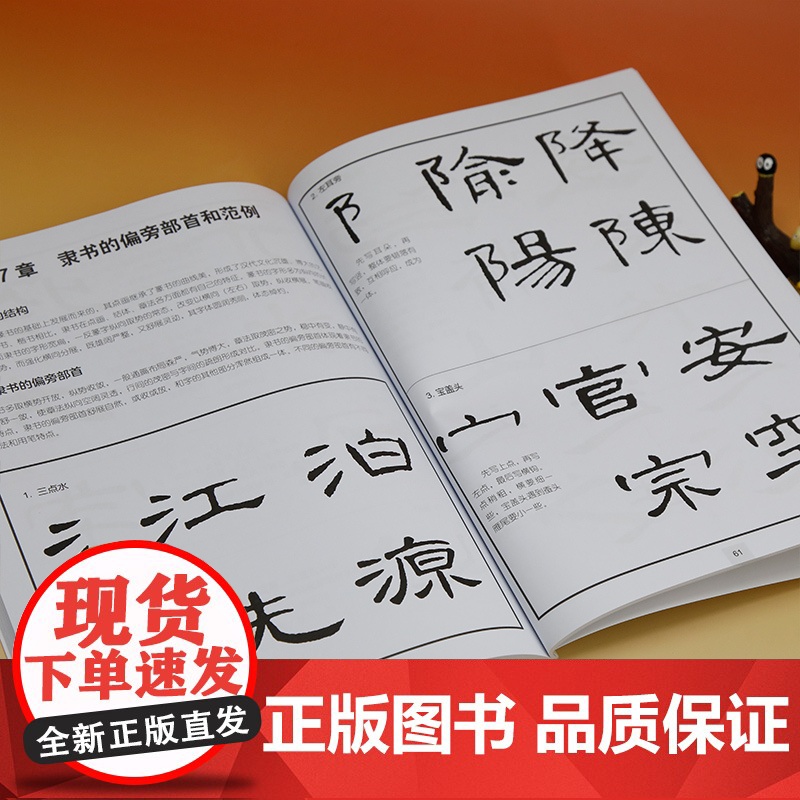 [正版新书]中学书法入门 张恒国 清华大学出版社 书法课-中学-教材高清大图
