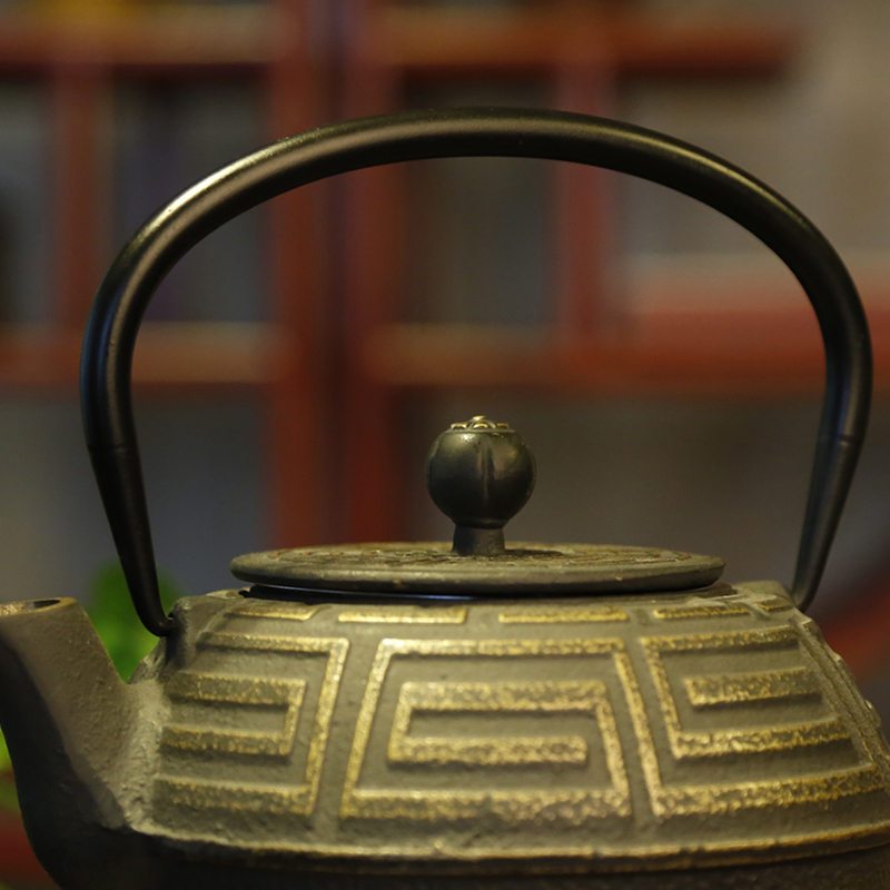 常生源 茶壶功夫茶具铸铁耐高温烧水铁壶无涂层煮茶壶电磁炉手冲泡茶壶铸回纹铁壶