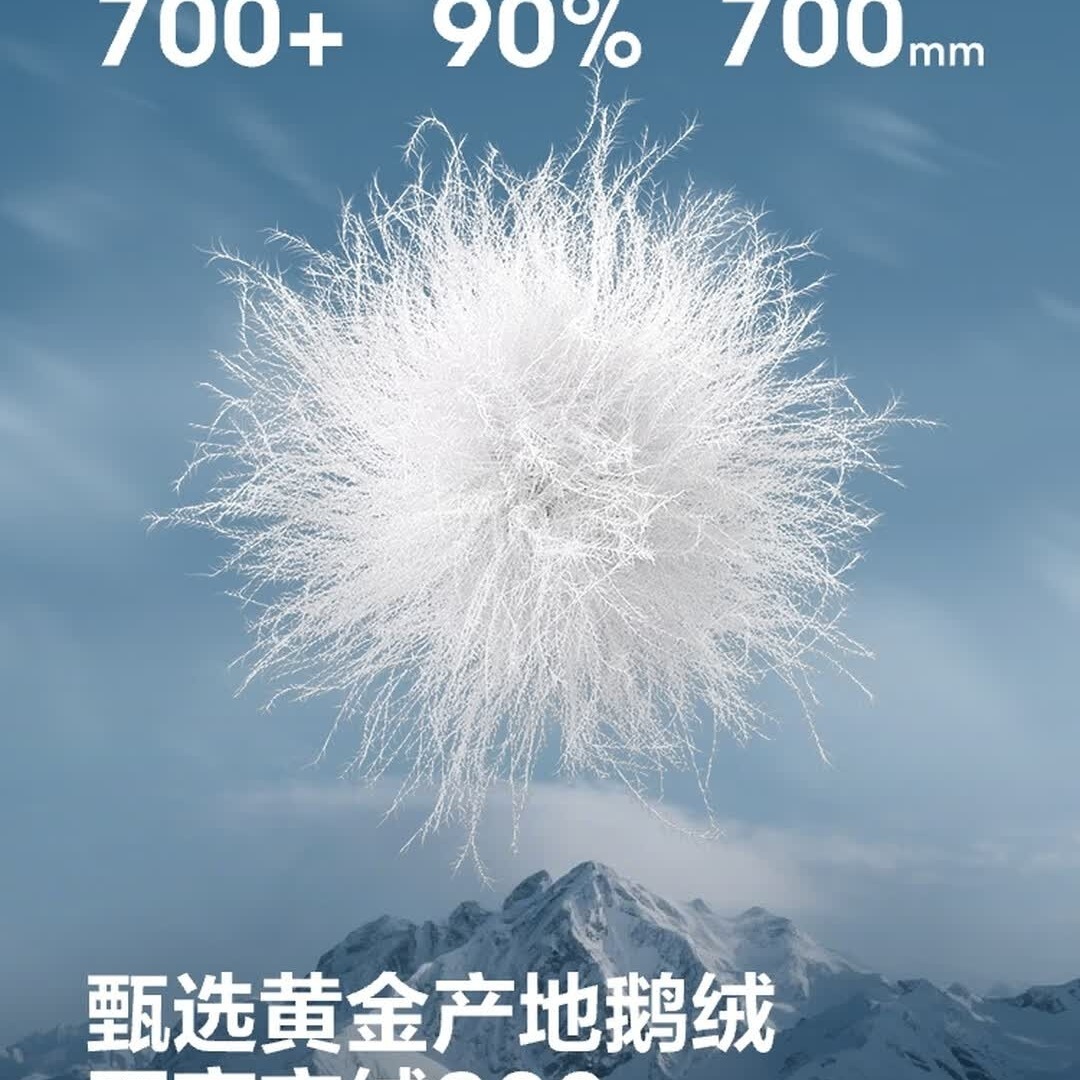 波司登 极寒羽绒服男女同款长款过膝鹅绒保暖外套B250242320 极夜黑8A50尺码155高清大图