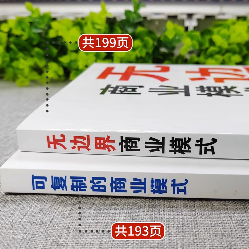 [正版]抖音同款2册无边界商业模式+可复制的商业模式 商业模式案例分析 全面翔实的了解可复制商业模式 助于提高企业管理高清大图