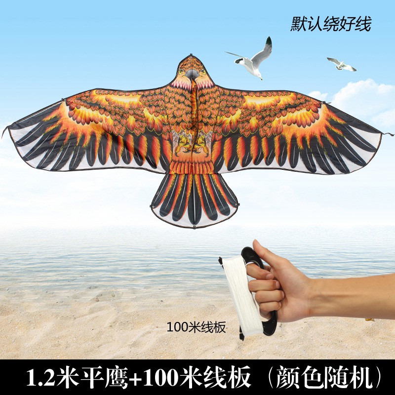 2020年潍坊新款儿童初学者微风易飞老鹰成人高档大型风筝大特大创意 三维工匠 3米烫金褐鹰（仅风筝）