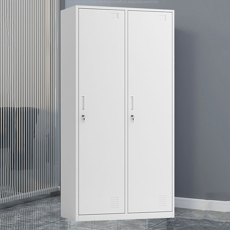 创世人两门更衣柜员工储物柜多门储物柜更衣柜多功能2门更衣柜