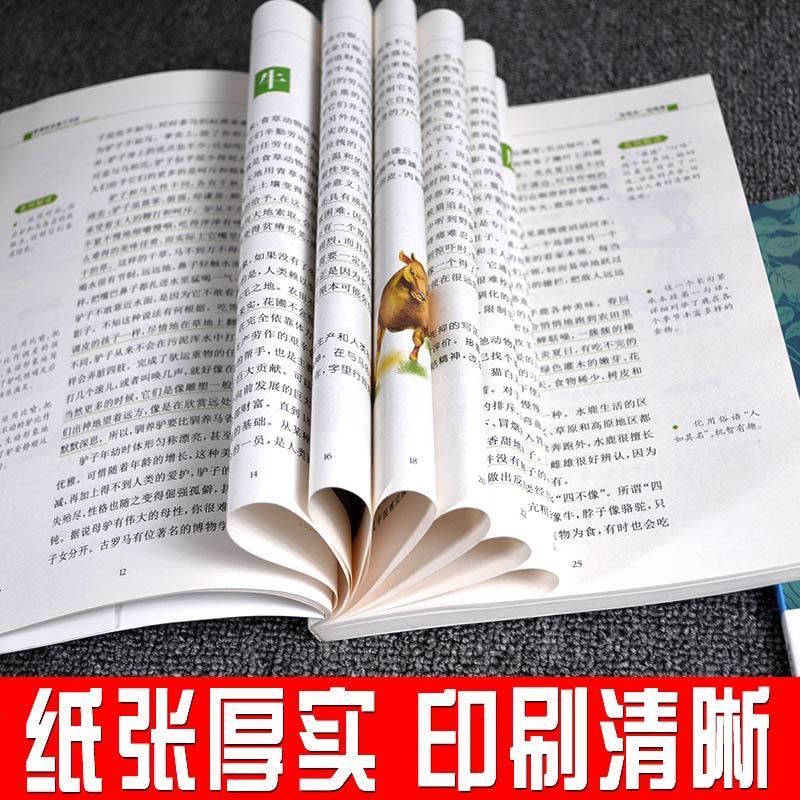 中国古代神话故事四五六年级小学生课外阅读书籍儿童文学经典班主任推荐语文教材同步必读6-9-15岁童话书 儿童文学彩