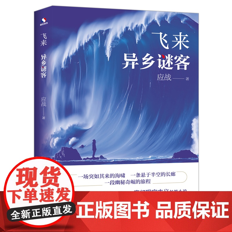 正版 飞来 异乡谜客 应战著 一场突如其来的海啸 一条悬于半空的长廊 两条命运线的交织 中国魔幻现实主义小说科幻小说高清大图